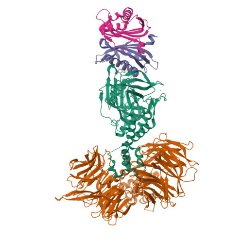 RCSB PDB - 9OS2: Cryo-EM structure of the DDB1/CRBN-MRT-5702-G3BP2 ...