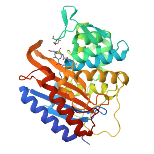 Pbp2 Structure RCSB PDB - 9OSL: Crystal structure of the transpeptidase domain of a ...