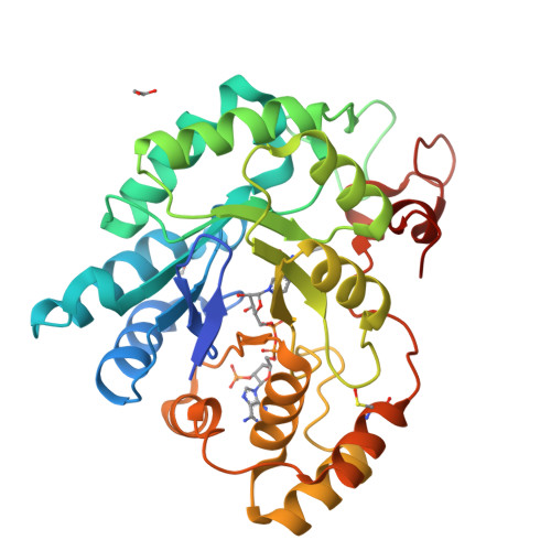 RCSB PDB - 9OU1: Crystal structure of maize AKR4C13 in P21 space group