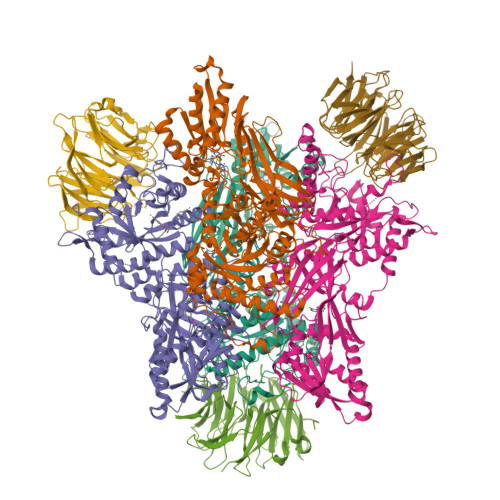 Prmt5 Structure RCSB PDB - 9OVY: Cryo-EM structure of human PRMT5:MEP50 in complex with ...