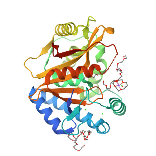 RCSB PDB - 9OW2: Crystal Structure of the Surface Protein (CD630_07380 ...