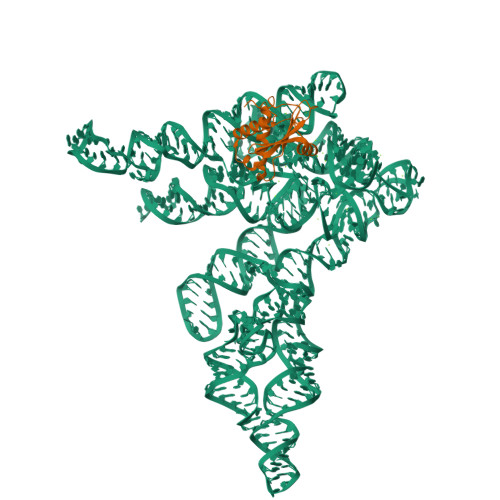 Structure 9OWS