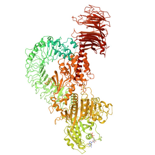 Structure 9OXI