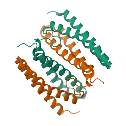 RCSB PDB - 9P19: B. pseudomallei rubrerythrin room temperature structure