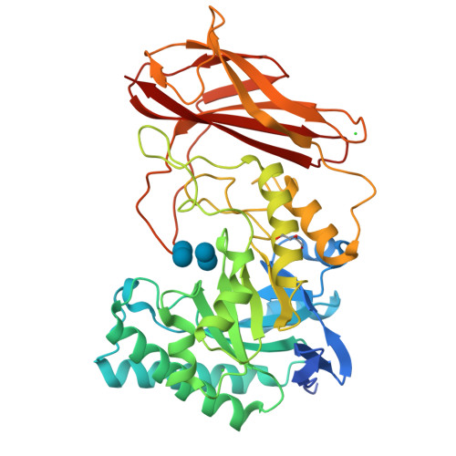 RCSB PDB - 9P29: Crystal structure of GH158(Pro) soaked with ...