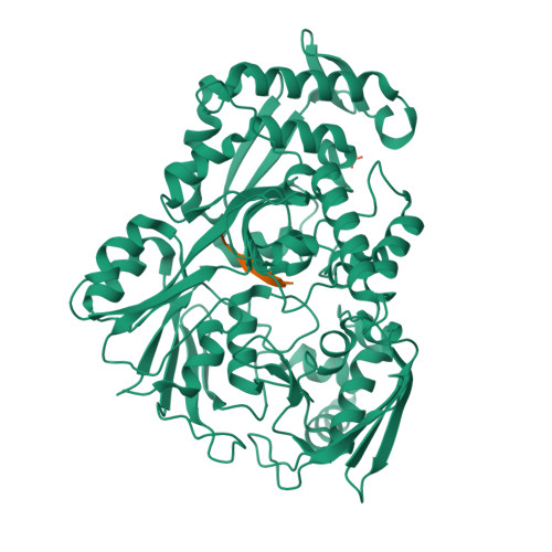 Structure 9P47