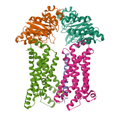 Structure 9P52