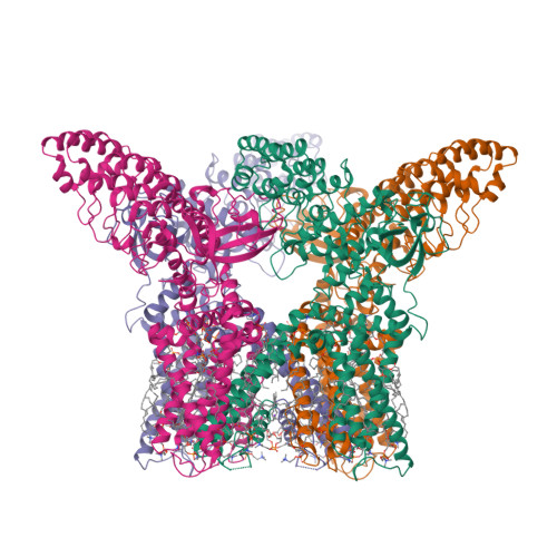 RCSB PDB - 9P6B: Cryo-EM structure of full-length human TRPV1 in the ...