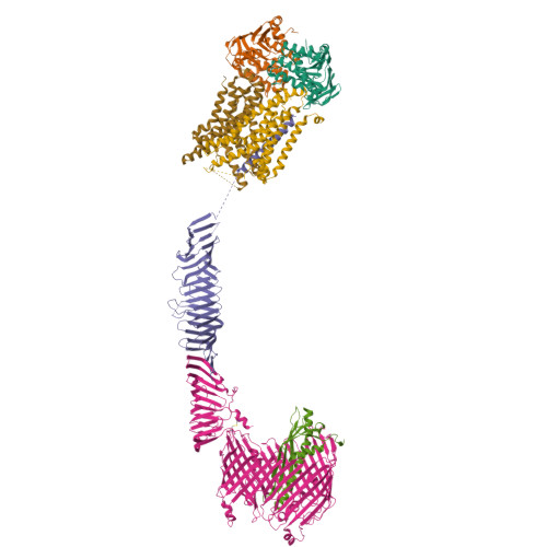 Structure 9P7M
