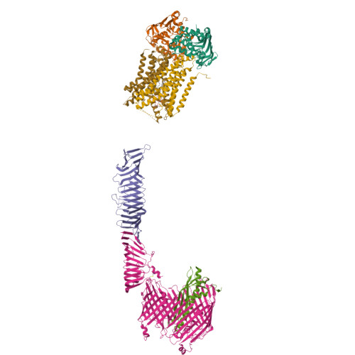 Structure 9P7P