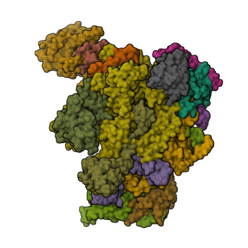 Structure 9PBD