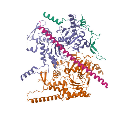 Structure 9PBT