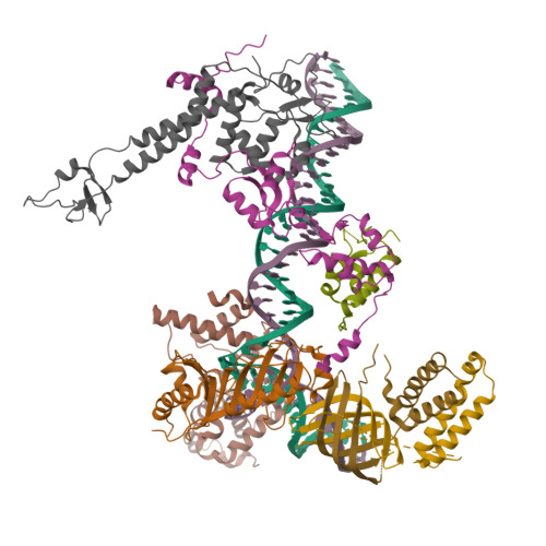 Structure 9PBW