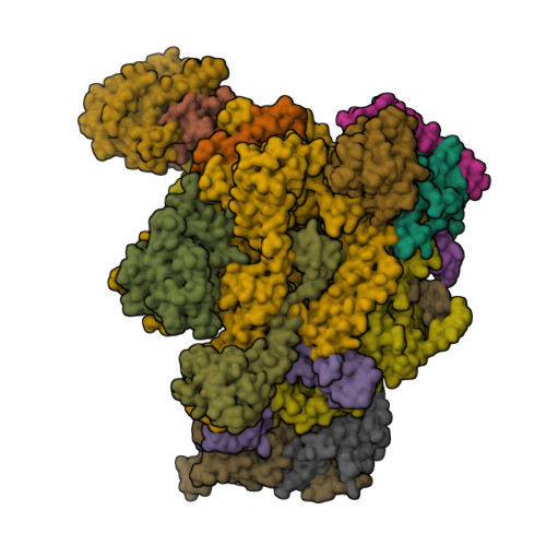Structure 9PBZ