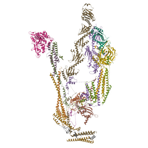 Structure 9PC8