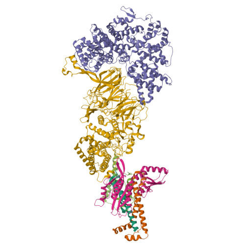 Structure 9PCR