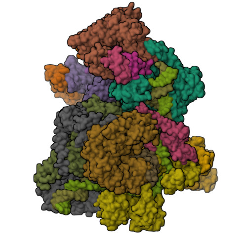 RCSB PDB - 9PD4: NER dual incision complex - DuIM
