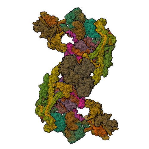 Structure 9PDJ
