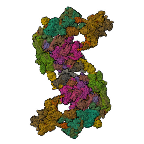 Structure 9PDK