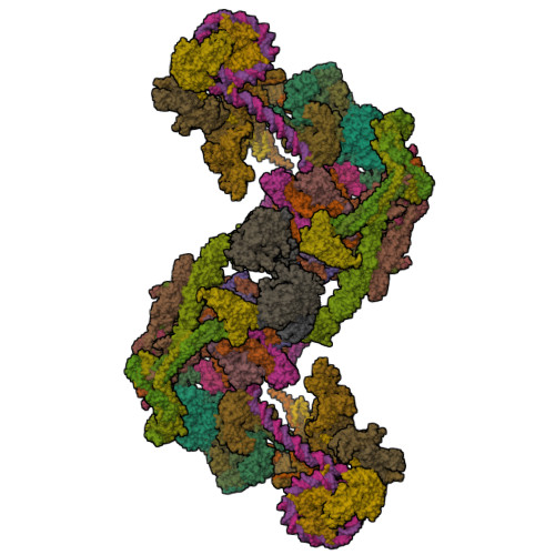 Structure 9PDR