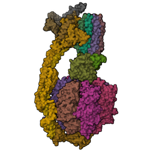 Structure 9PEW