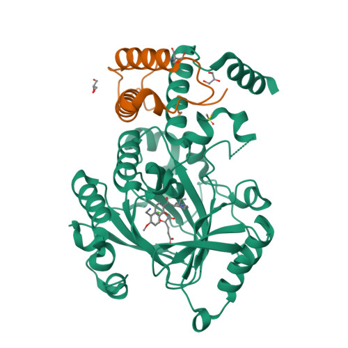 Structure 9PHV