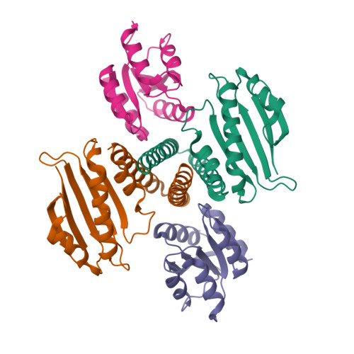 Structure 9PI0
