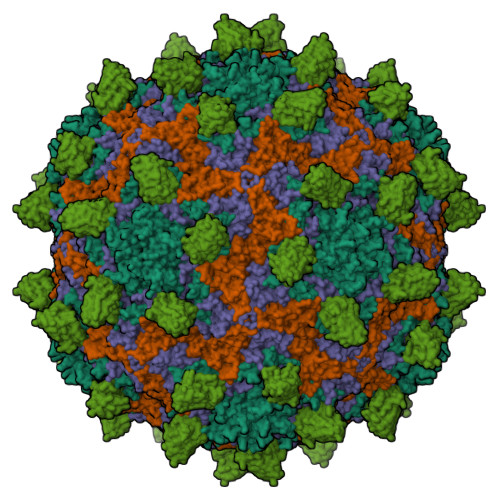 Structure 9PI7