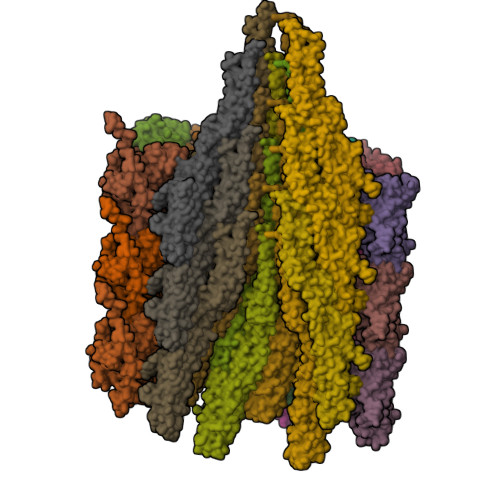 Structure 9PIN