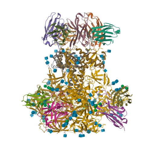 RCSB PDB - 9PIV: HIV-1 bnAb 9-71 in complex with BG505 MD39 SOSIP and RM19R