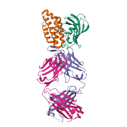 Epitope-guided Detection of a Molecular Glue-induced Ternary Complex Using Engineered Synthetic Antibody Fragments.