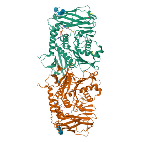 RCSB PDB - 9PJA: Cryo-EM structure of human NXPE1
