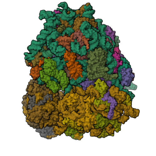 Structure 9PKD