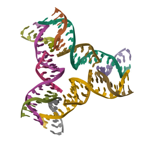 RCSB PDB - 9PMG: [22-7B G|T] 22 bp tensegrity triangle that propagates ...