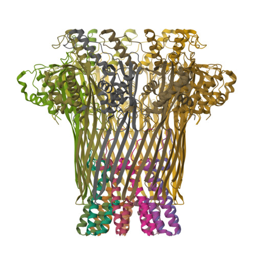 Structure 9PNA