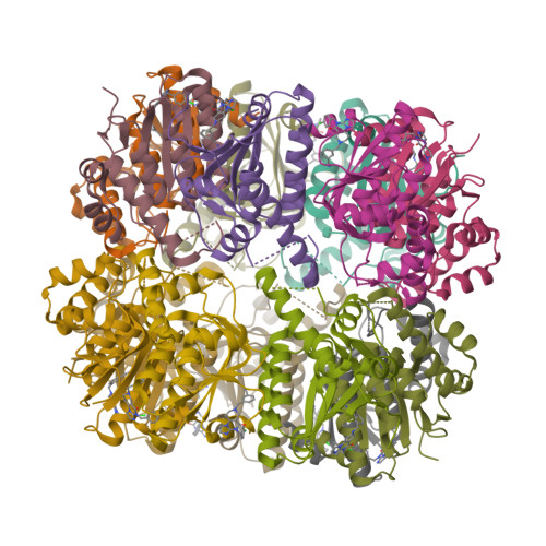 Structure 9PNC