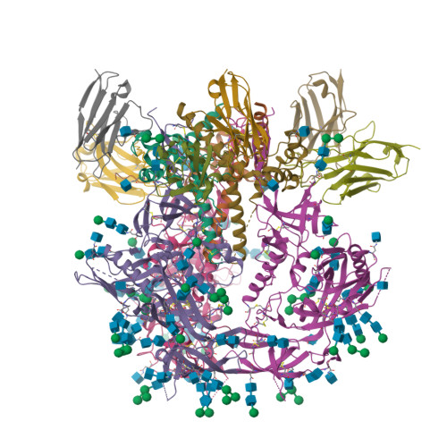 Pnn Structure RCSB PDB - 9PNN: Cryo-EM structure of J601-A6 Fab in complex with HIV-1 ...