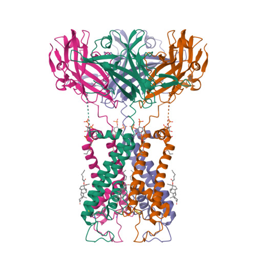 RCSB PDB - 9PR7: Cryo-EM structure of the human inward-rectifier ...