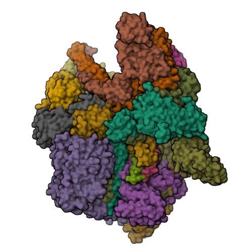 Structure 9PRT