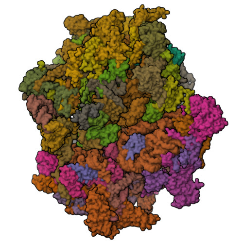 RCSB PDB - 9PS0: In situ structure of the human mitoribosome in the A/P ...