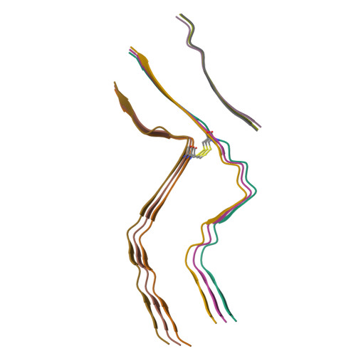 Structure 9PVA