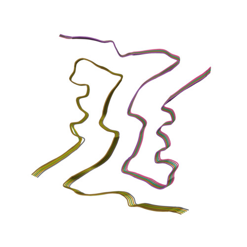 RCSB PDB - 9PW3: Cryo-EM structure of renal amyloid fibril from a ...