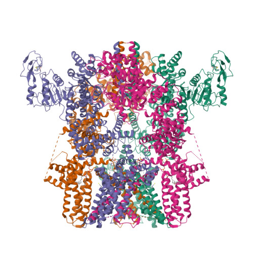 Structure 9PWG