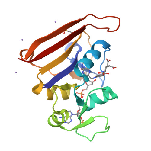 RCSB PDB - 9PWM: Dihydrofolate Reductase Complexed with Folate and ...