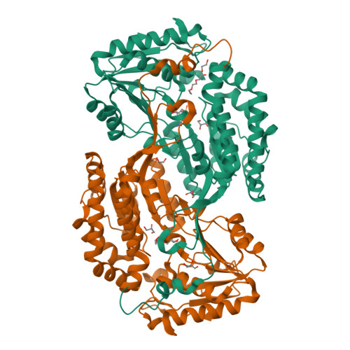 Structure 9PXH