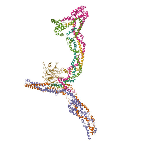 RCSB PDB - 9PZM: Augmin V junction with NEDD1 (WD)