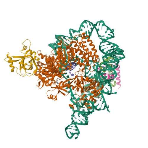 RCSB PDB - 9Q0Z: Human telomerase catalytic core with shelterin protein ...