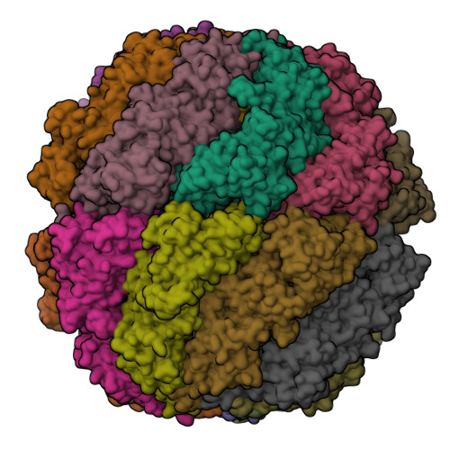 Structure 9Q1X
