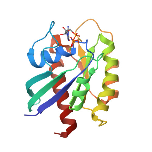 Rcsb RCSB PDB - 9Q2Z: Solution Structure of G12C mutant GppNHp-bound T35S KRAS4b