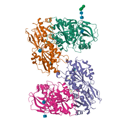 Structure 9Q3Y